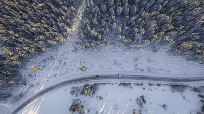 航空摄影的道路附近两辆红色和白色的树在白天
